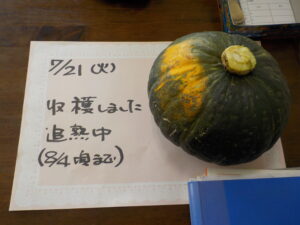 大きい‼